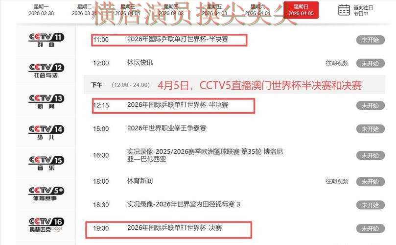 世界杯高清直播来临,世界杯投注入口数据分析+直播与平台选择实测对比 世界杯高清直播来临,世界杯投注入口数据分析+直播与平台选择实测对比